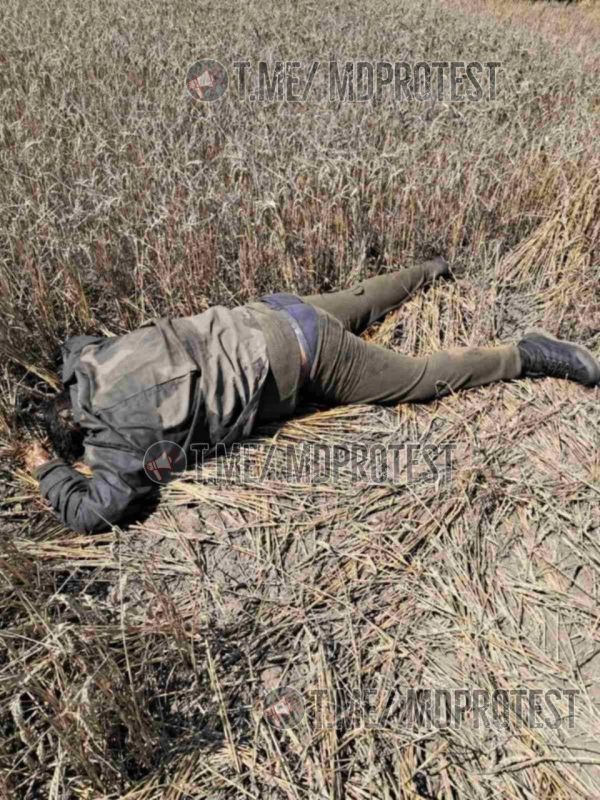 ������� ������� ����������������� �������� � ���� �������� �� ���������� ������� � ���������������� �������� �� ���������� ������� ��� ��������� ���� ����������� ���������, �������� ���������� ���������� ������������