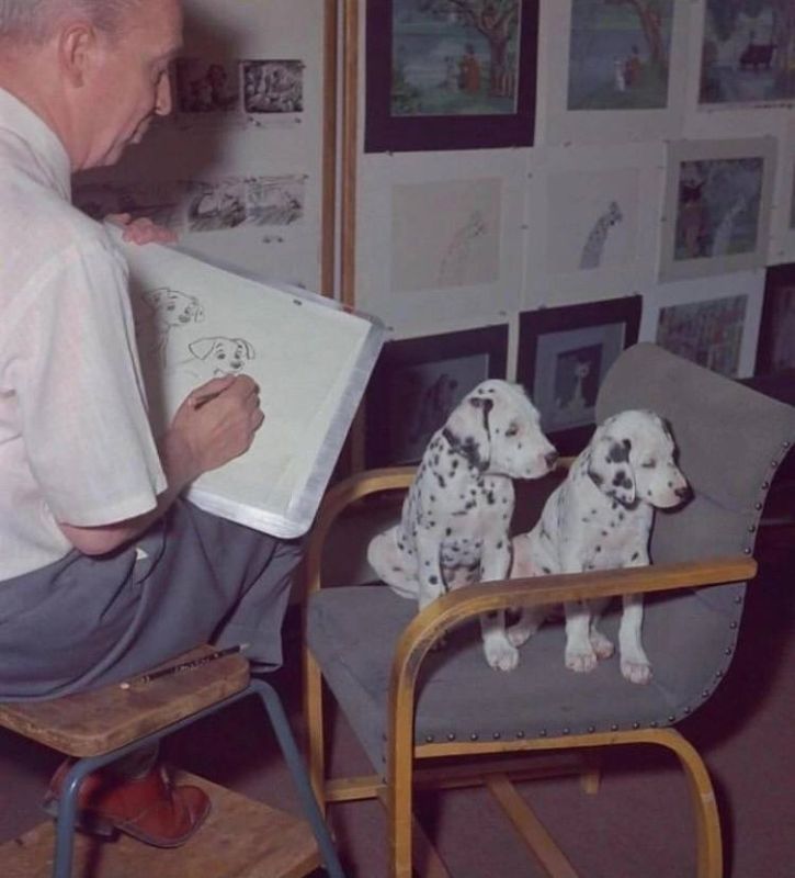 ��� ����������� ����������� � 1960-�