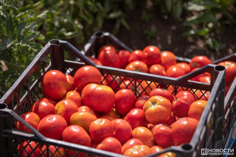 ��������� ������� �������� & ��������� - ���������� ������� ����� ������� � ��������� ������