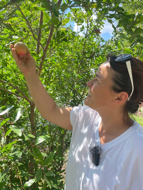 � ��������� ����������� �� ����� ������� ���� ���� ��������