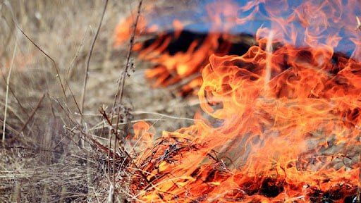 ��������������� ������������� �������������� ������ � ������ ��������� ��������� ������� ���� ����������� ��� ��������� � �����