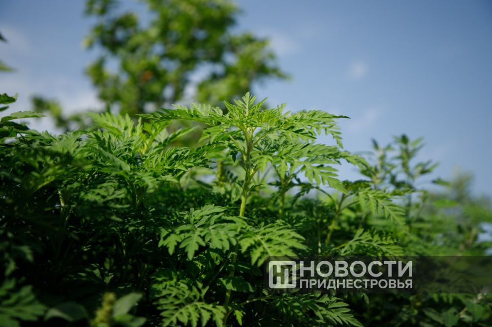 ������� ����� �����, ��������!� ���������� �������� � �����������������