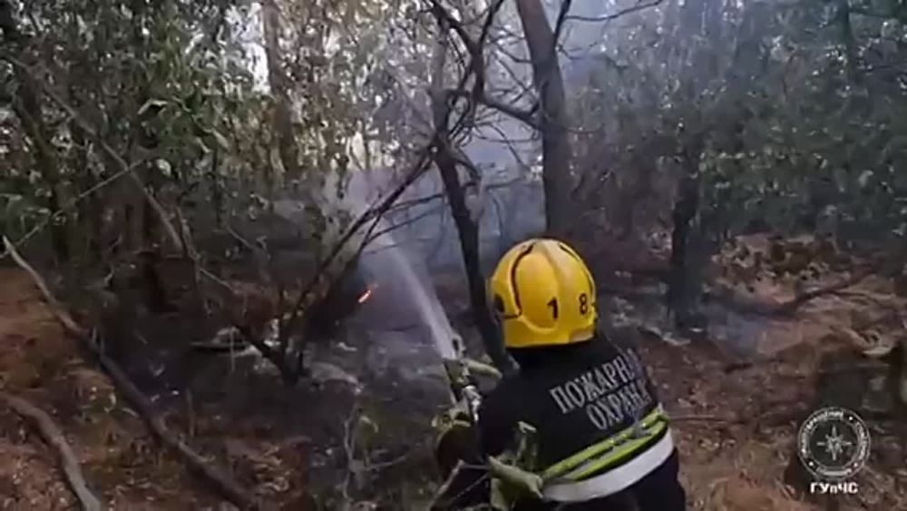 15 �������� ����� �����, ����� � ���� ������ ����� � ������������� ������