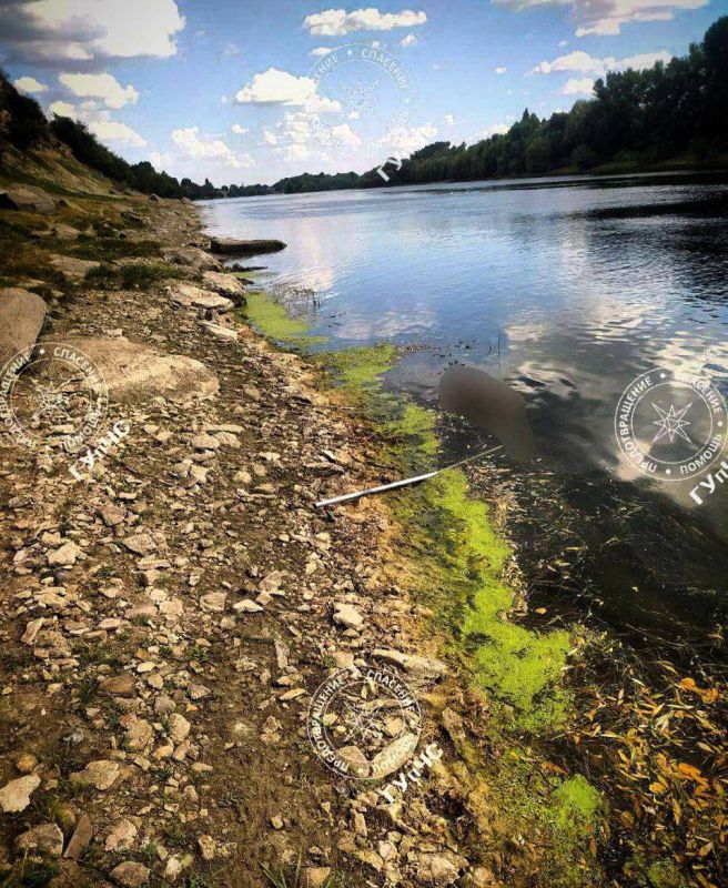 Тело утонувшего нашли. Спасатели достали из Днестра тело 61-летнего мужчины, который утонул 21 июля в километре от городского пляжа в Григориополе