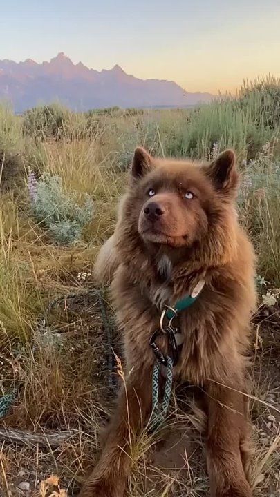 ��-�� ������ ������������ ������� ���� ����� ����� ����� ��������� �����