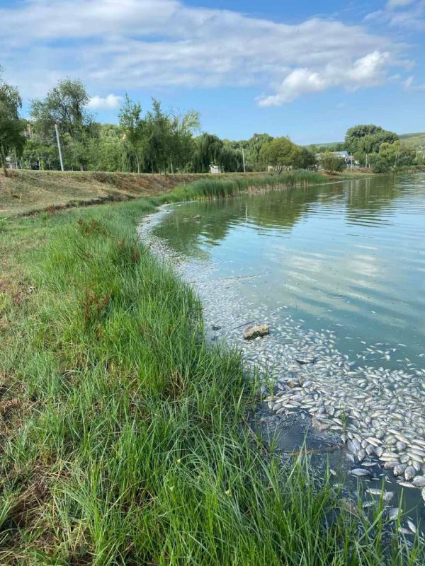 ������� ���������� ��������� �������� ������ 24 ���� � �������� ����� � �������, ������� � ���������� ��������, ����� �������� �������� ����