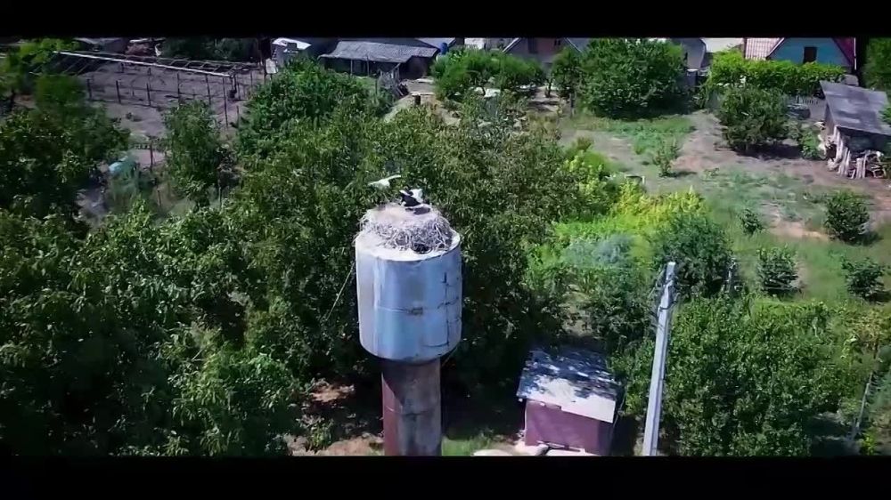 ��� ������������ ������ ������ �� ��� �������