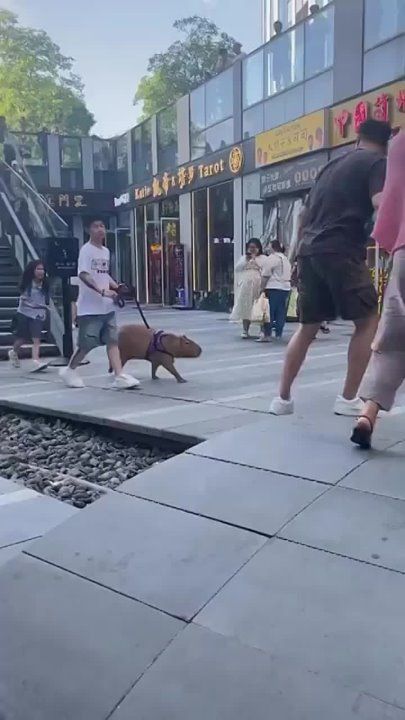 �������� - ��� ������. ������ � �������� �������� �� �������� ��� �� �������