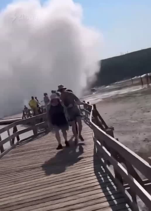 ������ ���������� ��������� � ������������ ����� �����������