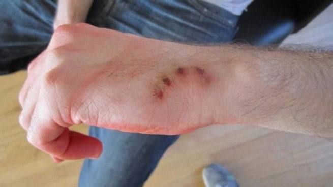 ������ ���������. � ������� ������ ������������ (��� 39) ������ ������������ (��� 41). �������� ����� ��������� �������� 22...