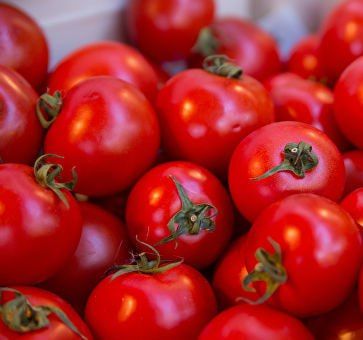 � ��������� ������ ������� ��������� �������� & ��������� - ���������� �������