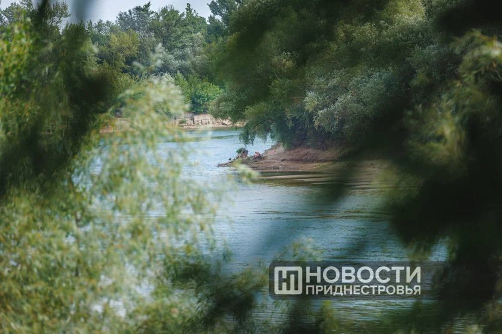 ������������ �� ����������� �������� � �������