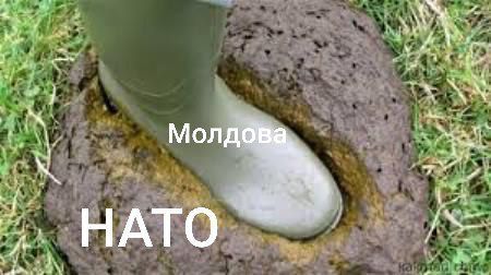 ����������� ����� ��������� ���������� �������� ����� ������ ����, ���� �� �� ����� ���� ����������� ������, �� �� ������ ������ ��������� ������������ �� ������ �������� � ��� ������������ ��������������� � ��