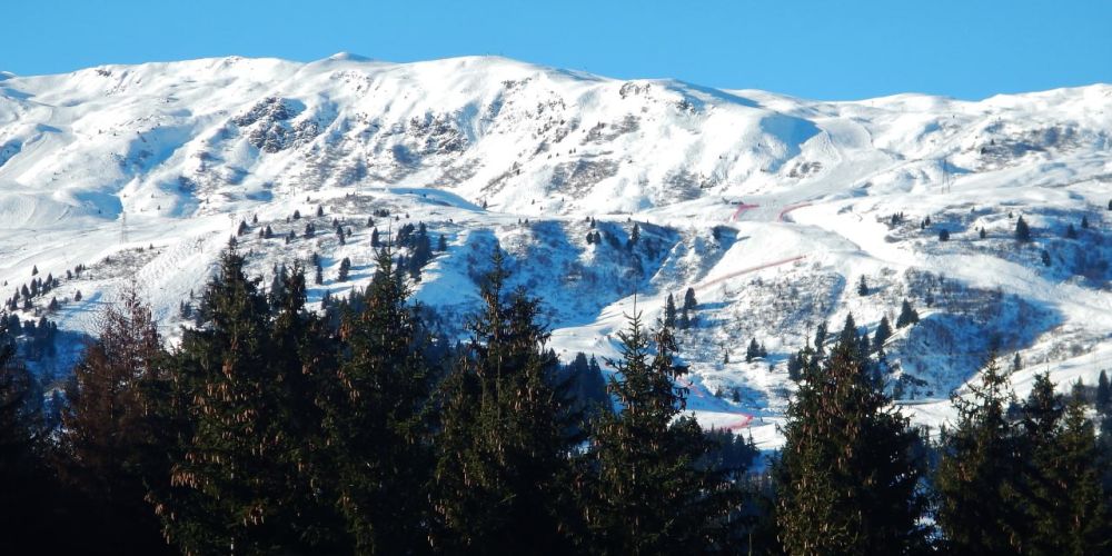 ����� ��� ��� �������� ����������� ���� � ������