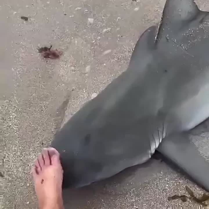 � ���������� ���� ������� ���� �����, ������� � ������� � ����