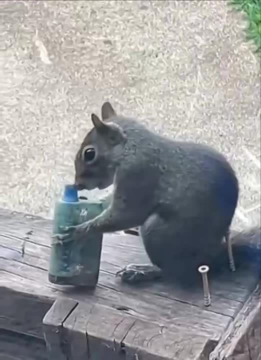 ����� ��� ����������... �����-�������