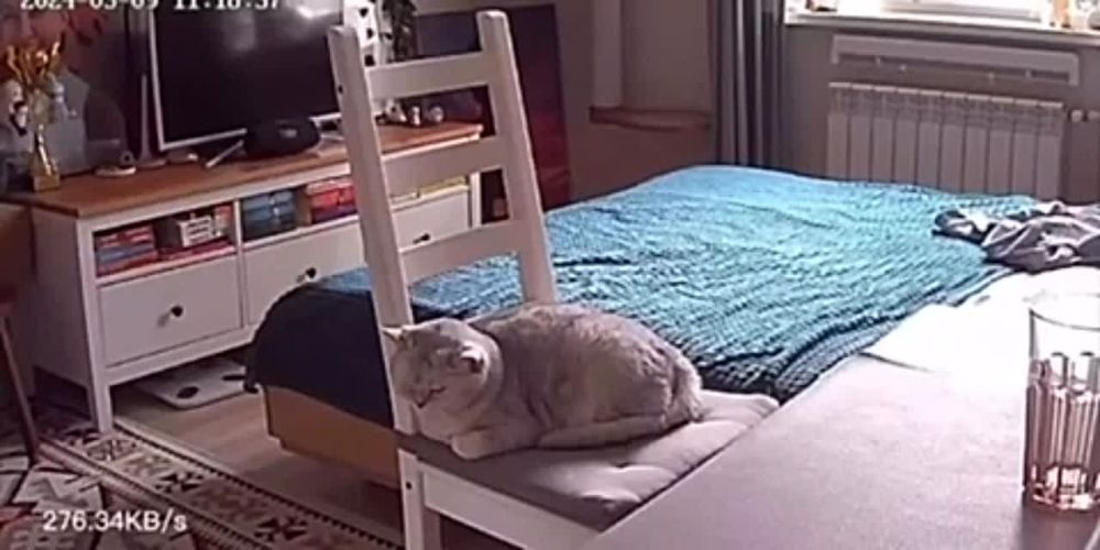 � ��������� ������� ���������� ����� � ������ ����������