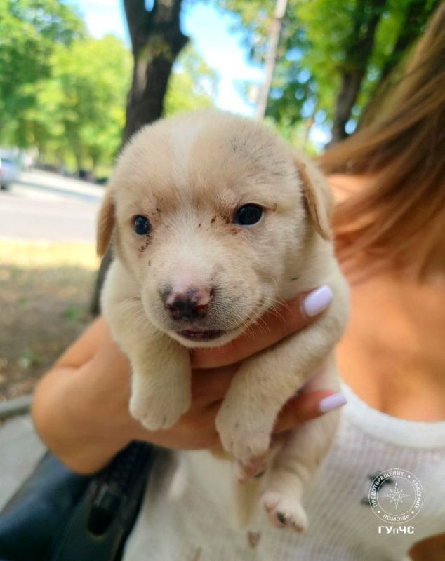 ������ � ������������� ���������� �������� ����� �������� ��������