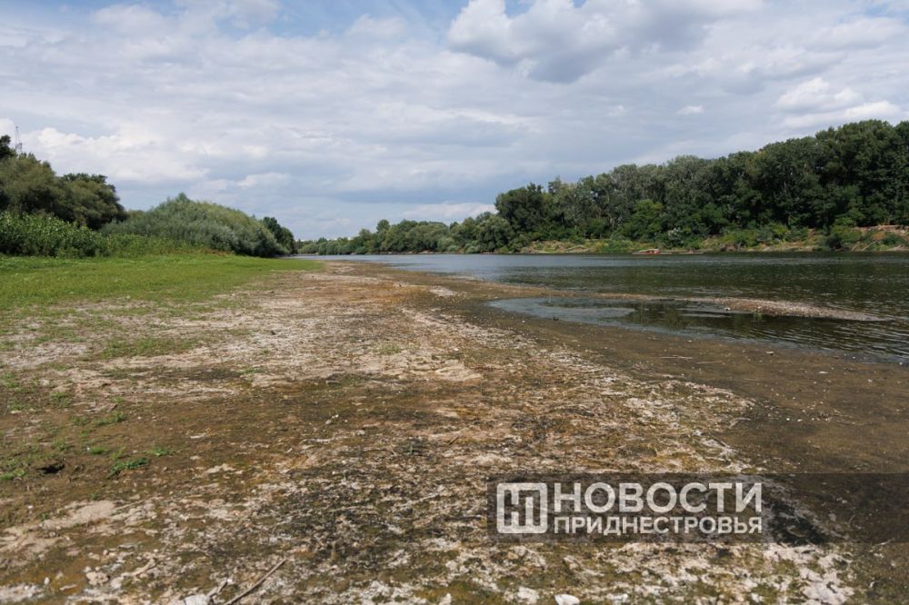 ��������� ��� �������. ���� ����� ������ ��������