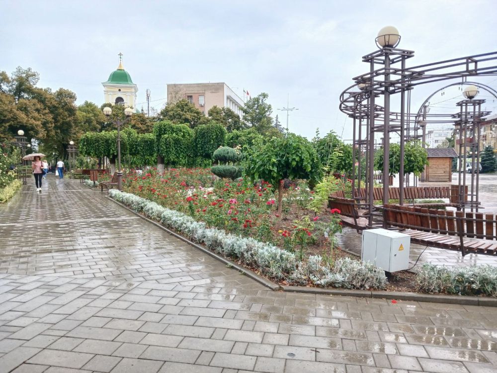 ������ ����� ���������� ����� ���������