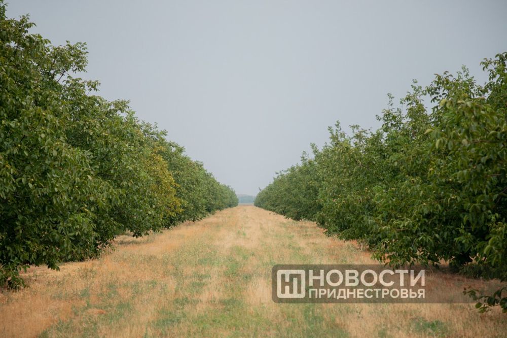 ��������� ������������� ������ ������ � ��� �� ��������� ������