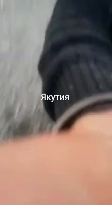 � ������ ������ ������� ������ � ���������