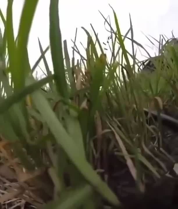 ������ ������ �������� � ������������ � ���, ��� �� ����� �����