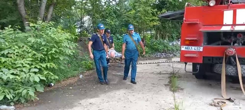 � ������� ������ �������� �������-����������� ������