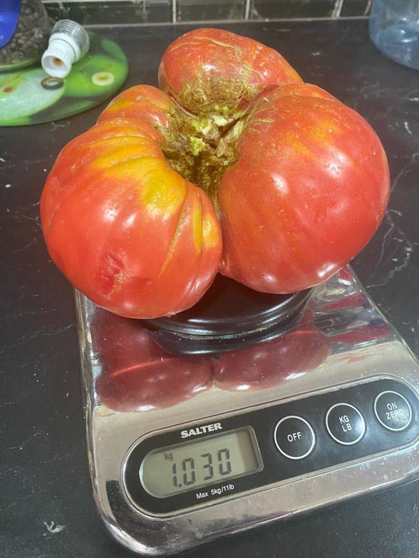 ���������� �� ���� ��������� ���������� ������� ���������: