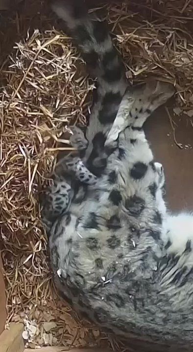 ������ �������� ����� ���� � ������� � ������� ����� ����, ������� � ��������� ��� ������ ����