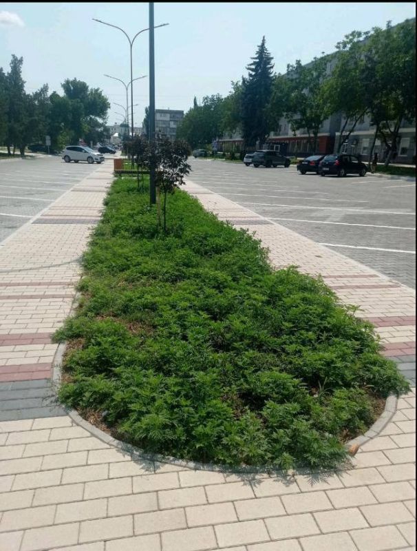 � �������� ���������� �������� ����� �� ����������� �����