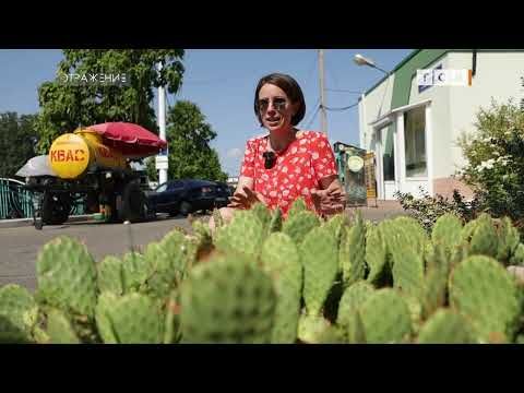 �� ������ �������, ����� ������� �� ������ �� ����� �����