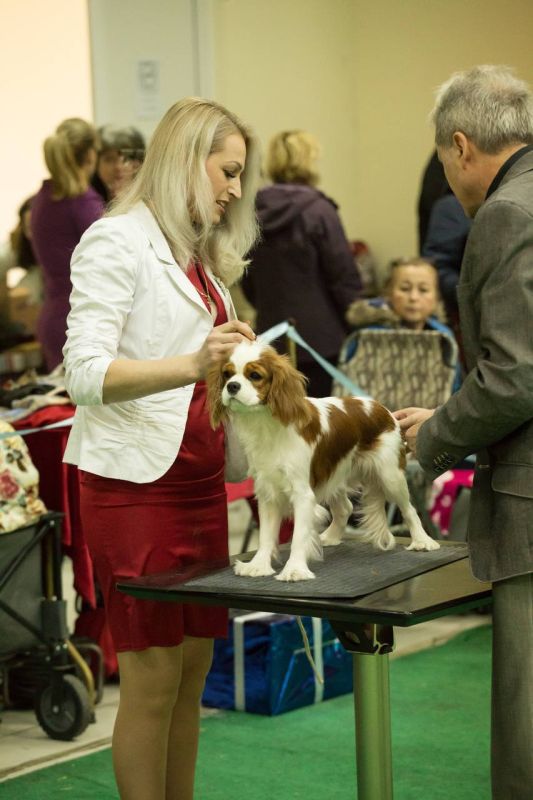 ����� ������� ������� ���������� ����������