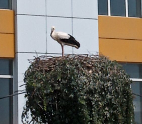 ������� � ���, ��� �������� �� �������� ������� ��������� � ������ ������