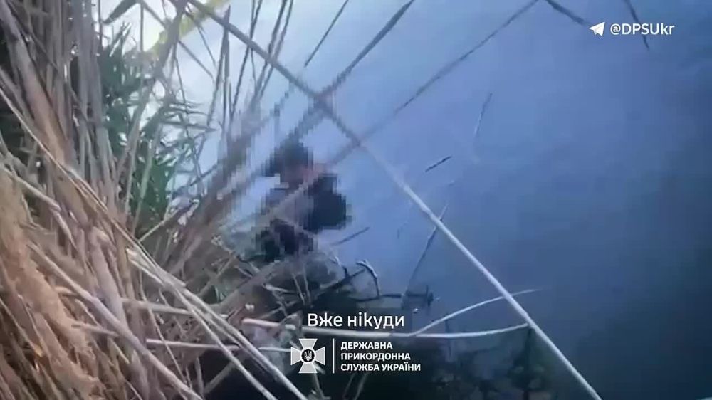 ��� ������: #����������_�������������