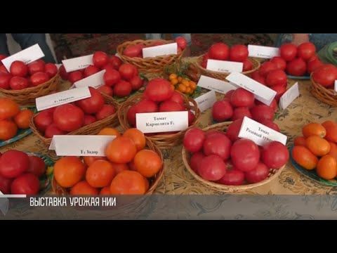 �������� ��������� � �������