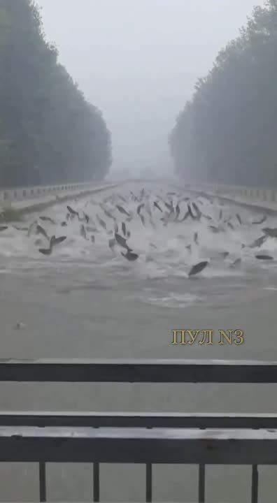 ��-�� ������� ������ � ����� ���� ����� ����������� �� ����: ���������� ������� �������� � ��������� �������. �������� �����...