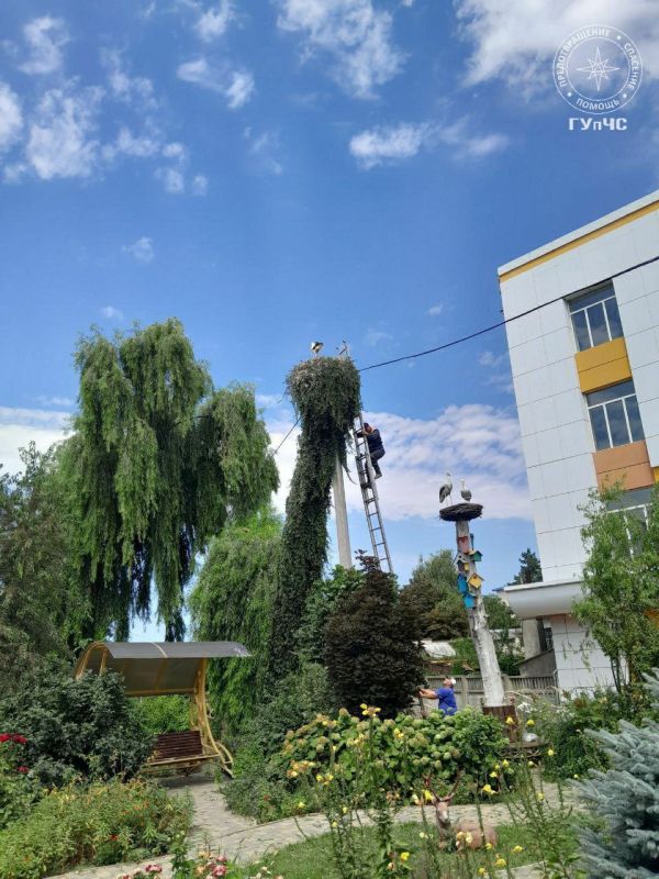 ��������, ��������� �� ������, ������ � ������������� ���� � ����������