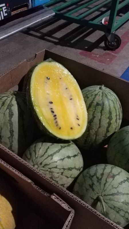 � �������� ������� ����� ������