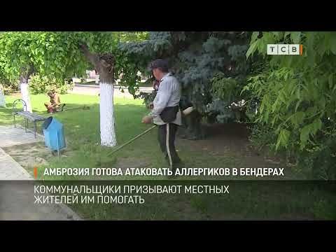 �������� ��� ������ � ����� �� ����������