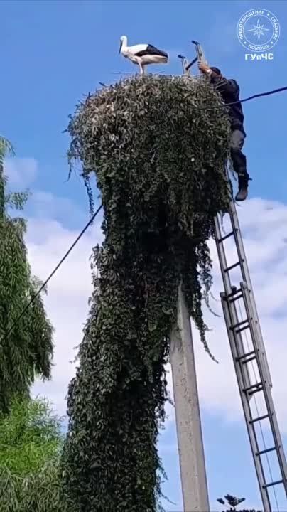 ����� ��������� ����� �������� �������� � ����������