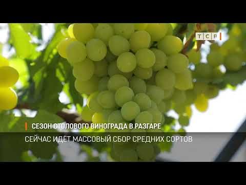 �� ������ �������� ������� �������� ��������