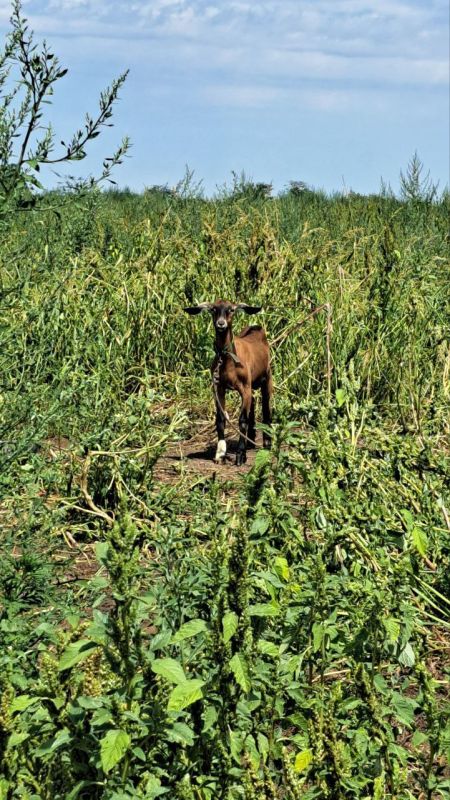 ����� �� �������� ���� � ������������� ������ ��� ������������� �������� ���� �����-��������� ������