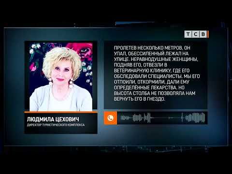 � ���������� ���������� ����� ������ �������� �����, ������� ����� �� ������