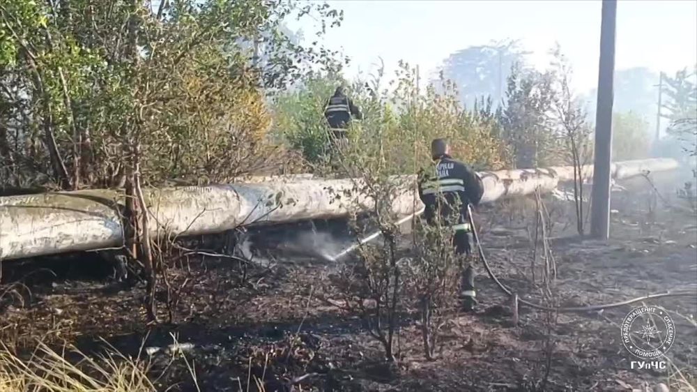 � ������� ����� ������������������� ������ �� �������