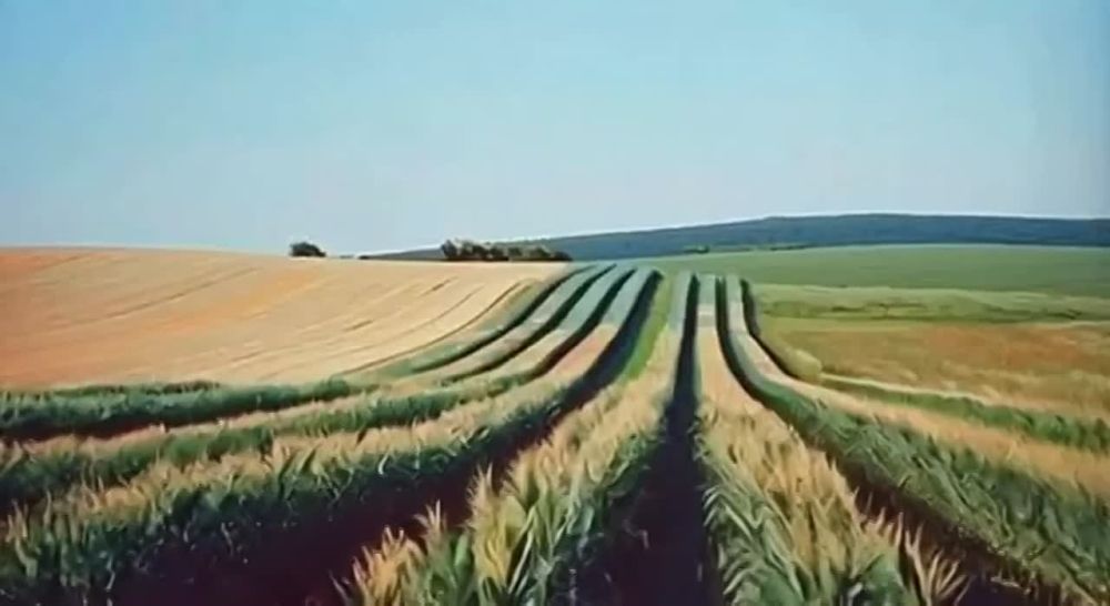 ����� ����������� ����������: ������ ��� ����� ��������� � �����