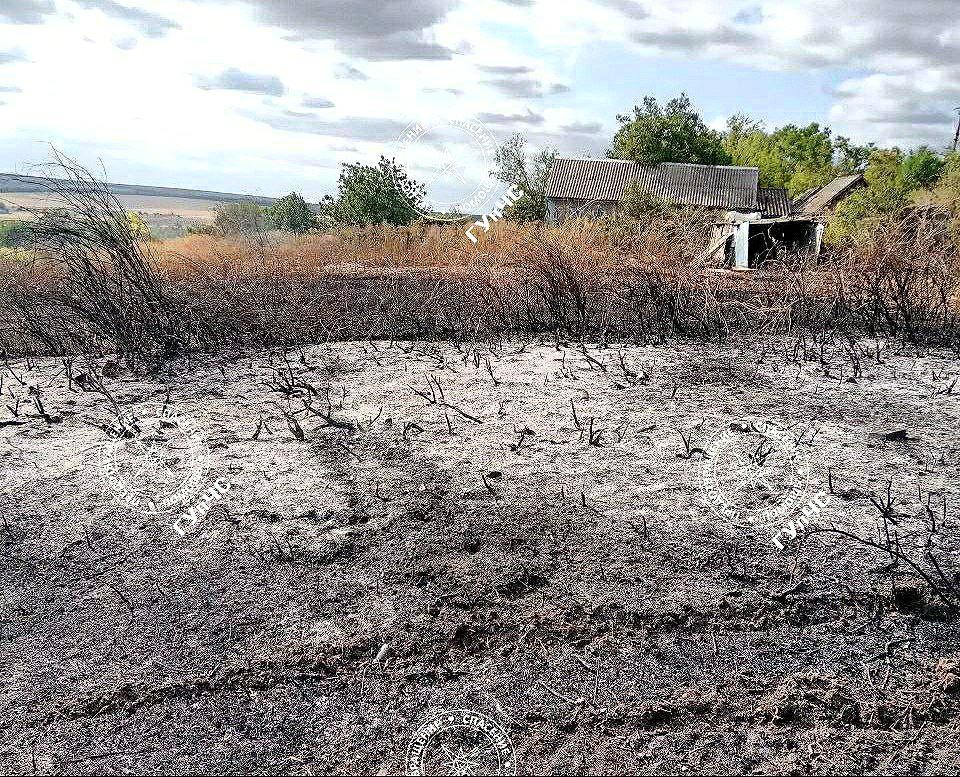 � ���������� ������:. �������� 25 �������� ��������; ������ ���������� �����; ���������� ������ �����; �� ����� �� ����...