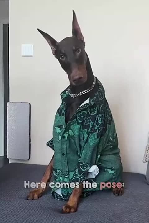 ���� ����� ������� ������: � ����� �������� ���� ������� � ������������� ������ ��� �����