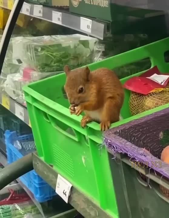 ������, ������ ��� � �� ������ ����! ��� ����� ���������� � ���: � ����������� � ������ ������ ������� - �� �� � ������-�������� �����