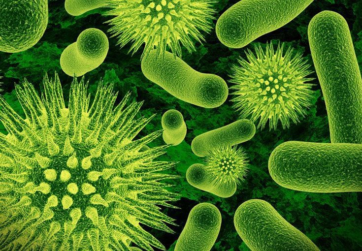 У 50 детей за прошлую неделю найдена ОКИ